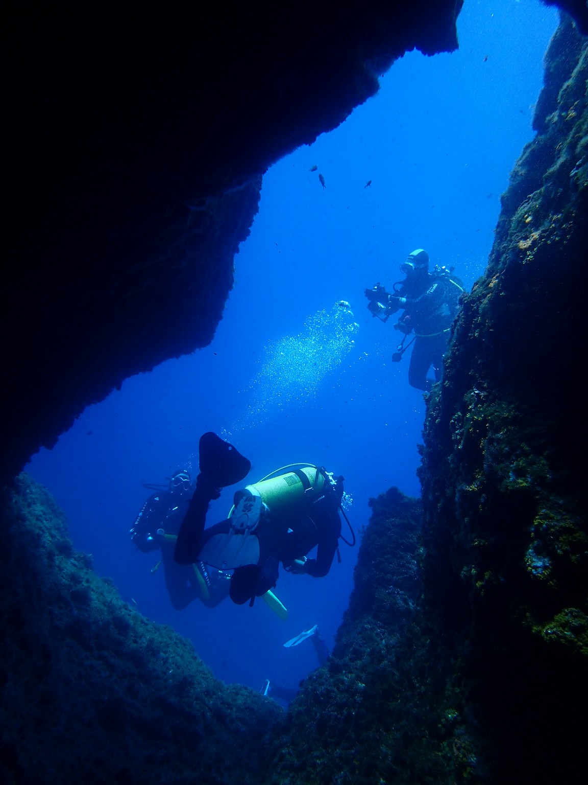 LES GROTTES DE PLANE